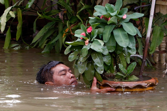Chạy lụt ở Băng Cốc, Thái Lan.